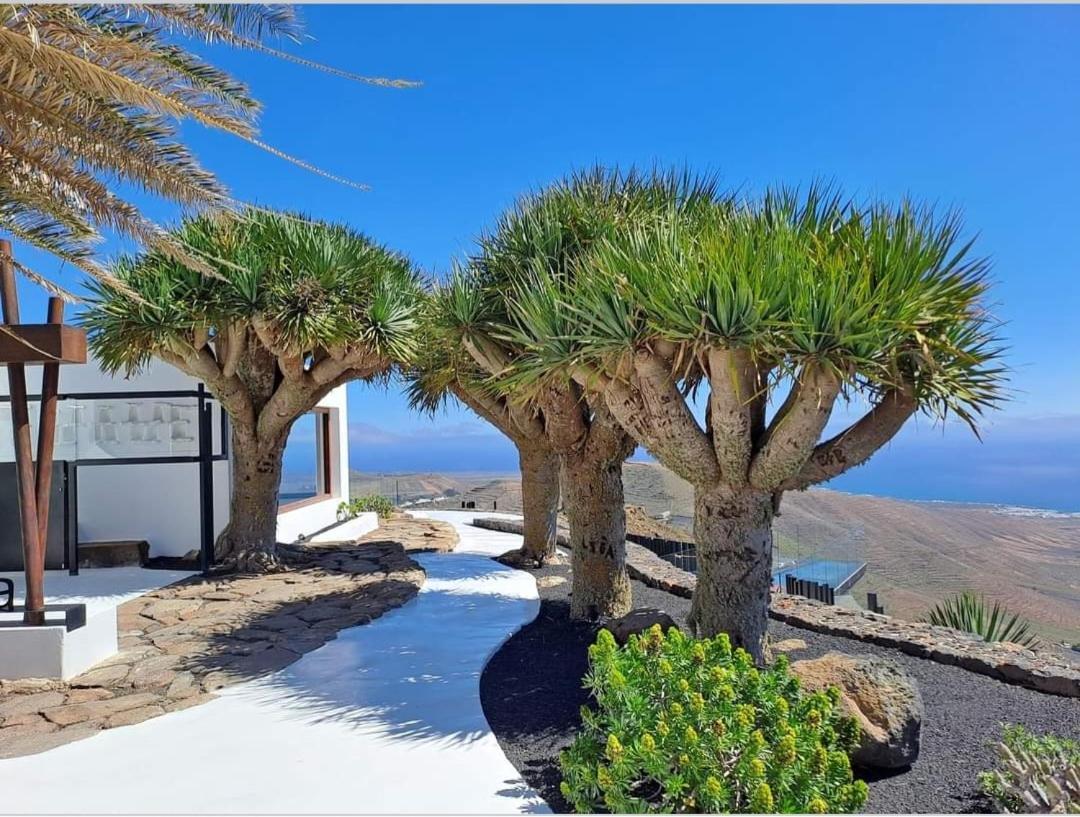 Casa La Tunera, Country House, Haria, Lanzarote Eksteriør billede